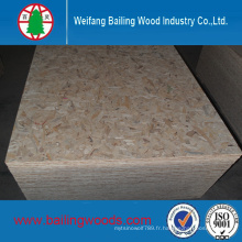OSB Pin WBP Colle 1220X2440X6mm 9mm 12mm 18mm